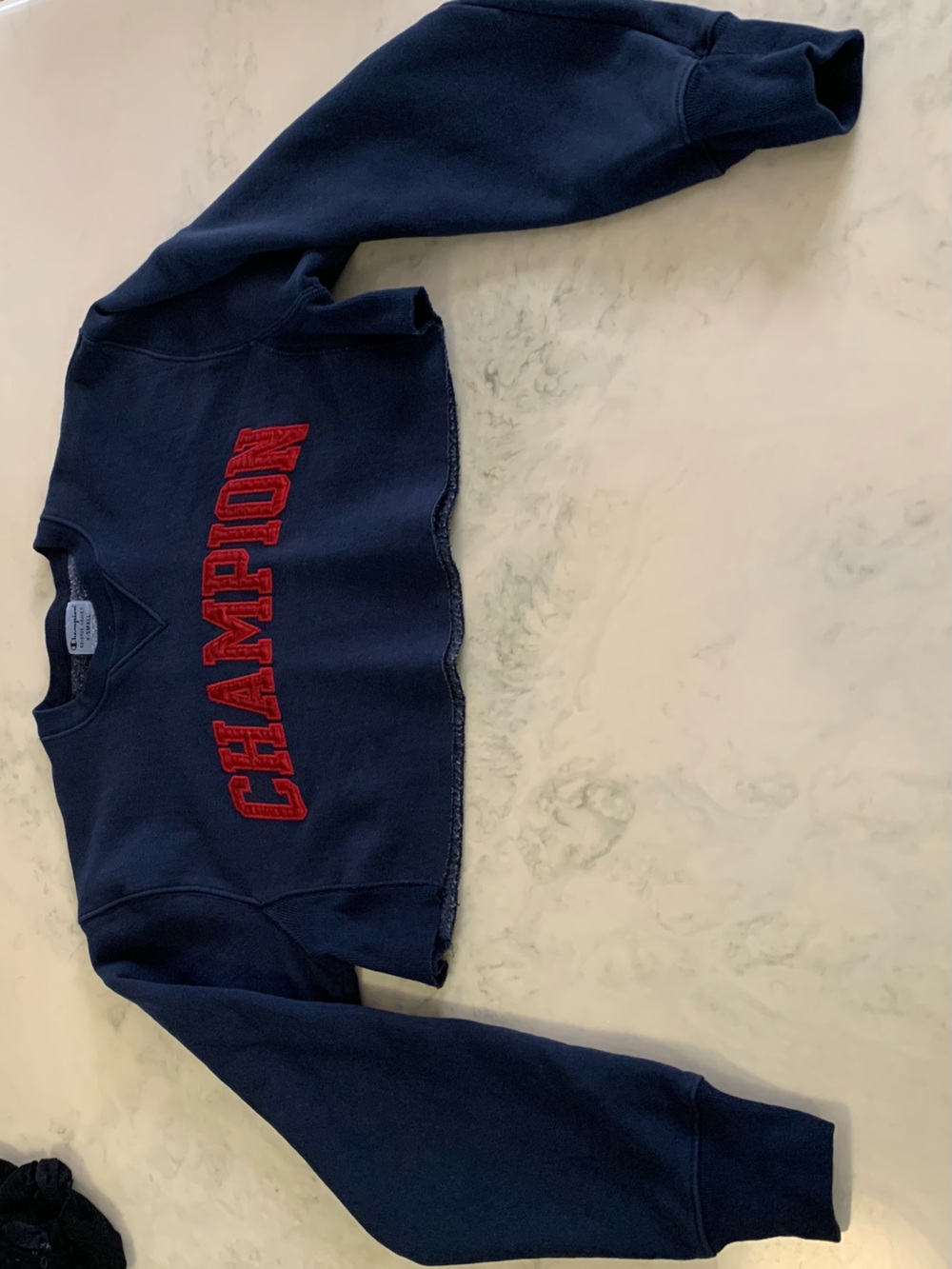 Champion Navy Crewneck with Red Appliqué Logo